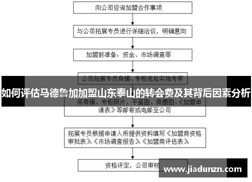 如何评估马德鲁加加盟山东泰山的转会费及其背后因素分析